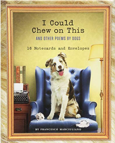 I COULD CHEW - NOTE CARDS - FINAL SALE CARDS